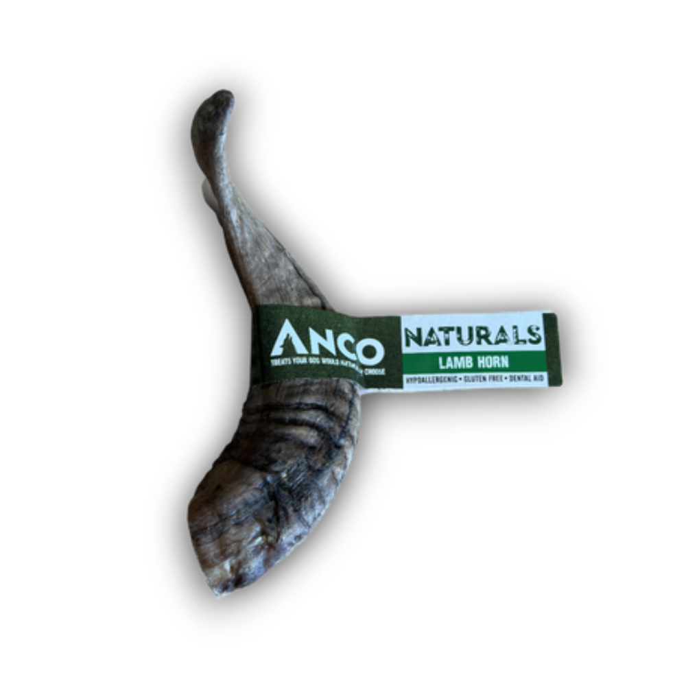 Anco Lamb Horn