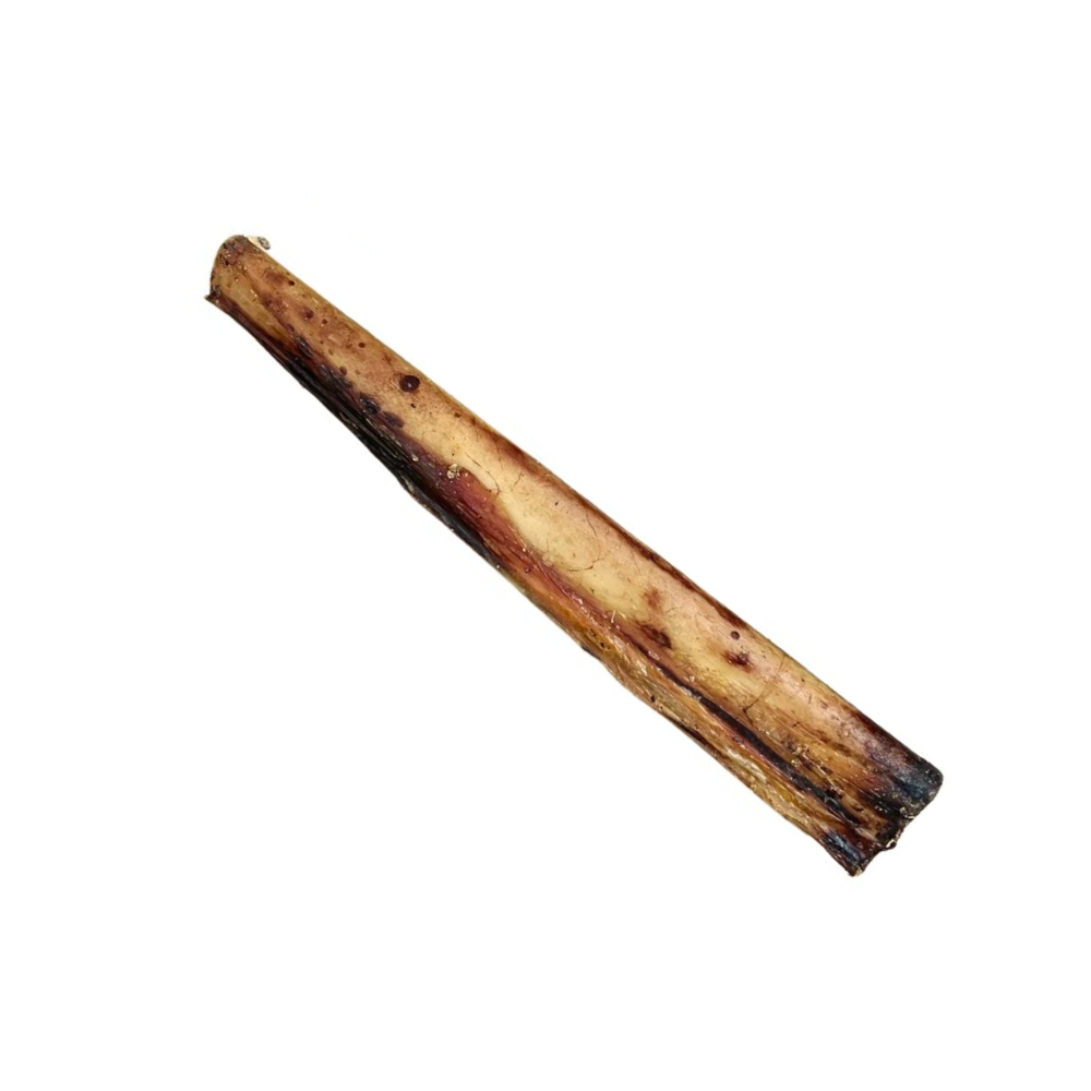 Nova Dog Chews Paddock Farm Ostrich Marrow Bone 25-30cm