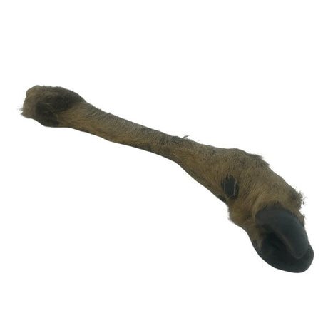 Anco Hairy Roe Deer Leg Approx 30cm - Proper Dog Treats