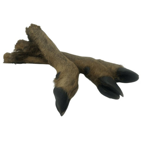 Anco Hairy Roe Deer Leg Approx 30cm - Proper Dog Treats